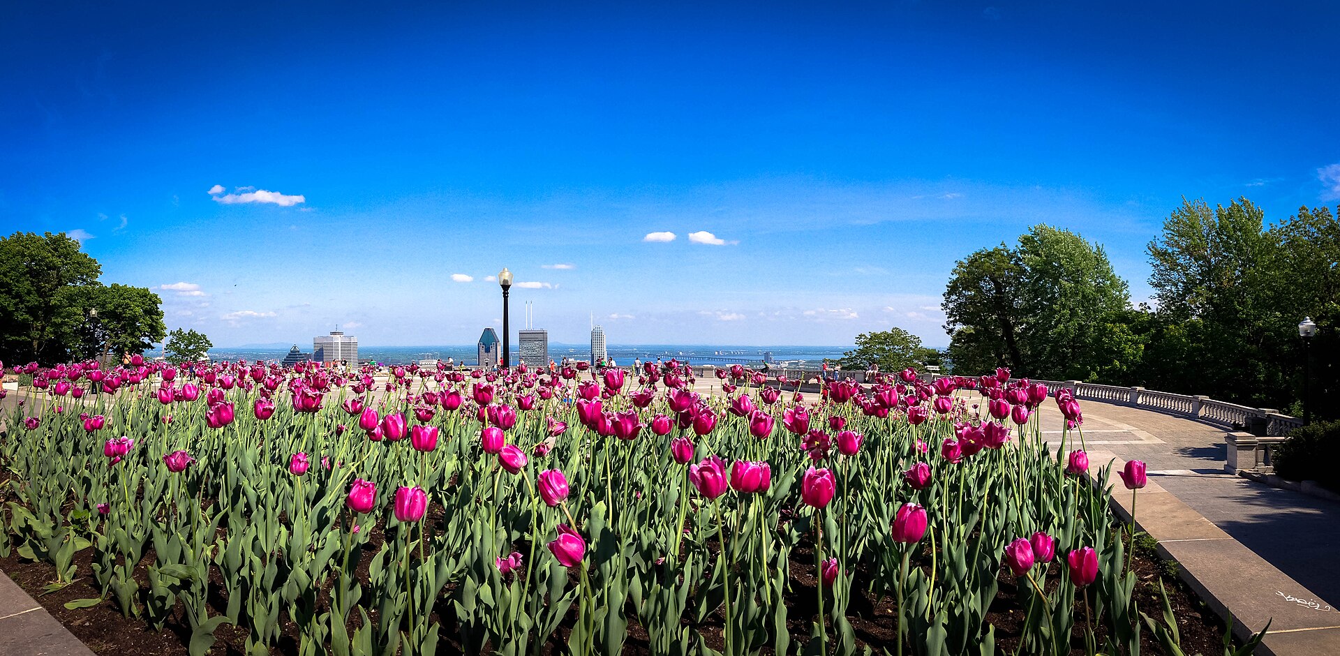 Spring Market Preview: What Families Are Looking For