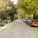 Residential street with mature trees in autumn colour