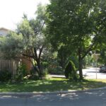 Corner home with mature trees and a lawn in Kirkland