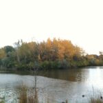 Pond and autumn trees at Centennial Park in Dollard-des-Ormeaux