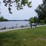 Waterfront park on the Rivière des Mille Îles in Sainte-Rose, Laval
